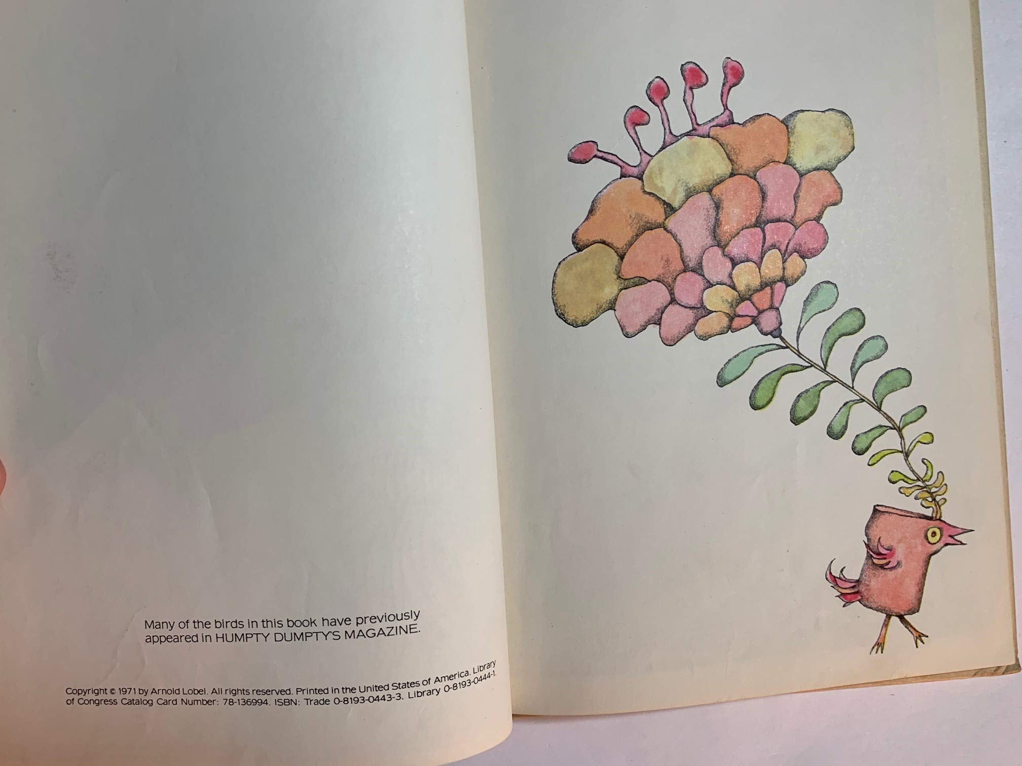 The Icecream Cone Coot And Other Rare Birds,New