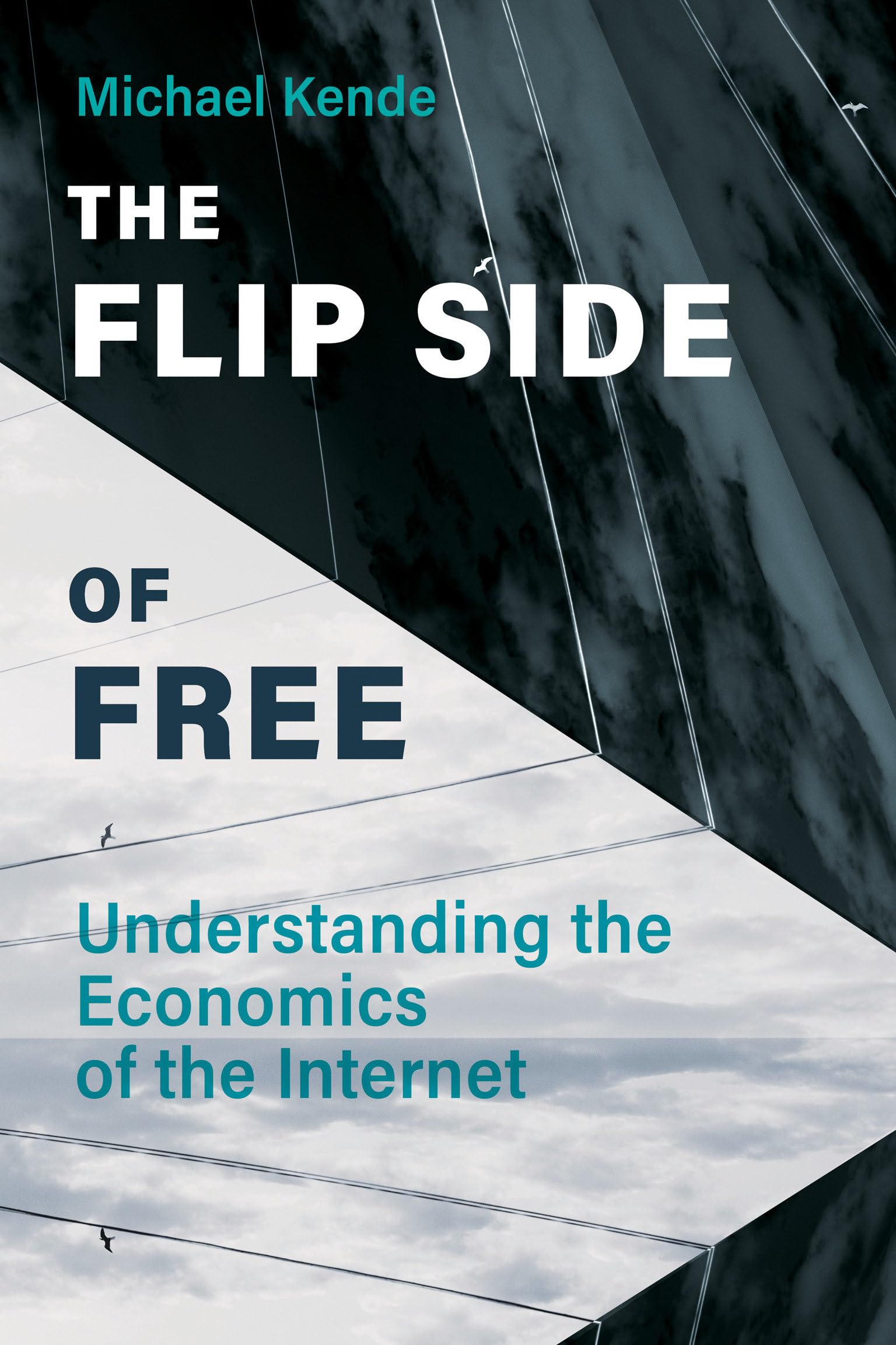The Flip Side of Free: Understanding the Economics of the Internet,Used