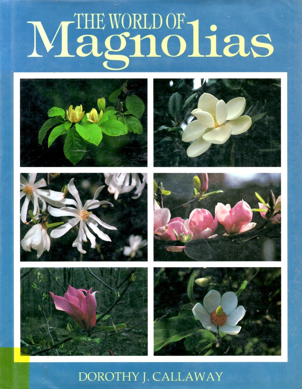 The World of Magnolias,Used