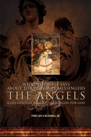 What The Bible Says About The Heavenly Messengers: The Angels  A 21St Century Angelos (Messenger) For God,Used