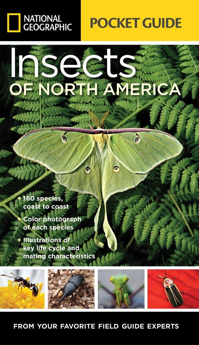 National Geographic Pocket Guide to Insects of North America: From Your Favorite Field Guide Experts,New