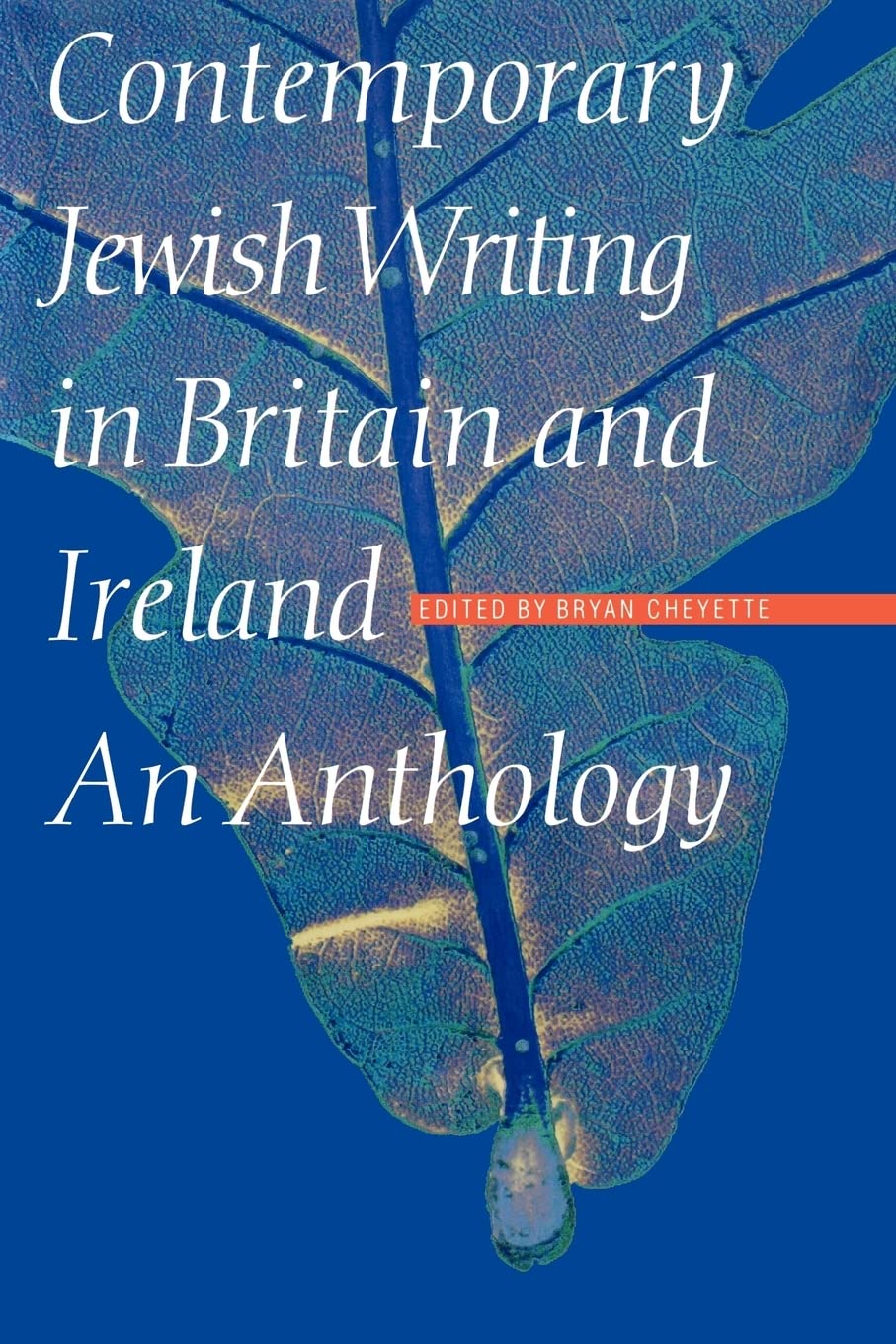 Contemporary Jewish Writing In Britain And Ireland (Jewish Writing In The Contemporary World),New