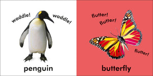 Baby Touch And Feel: Animals,Used