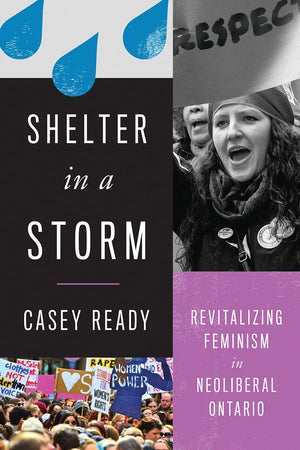 Shelter in a Storm: Revitalizing Feminism in Neoliberal Ontario,Used