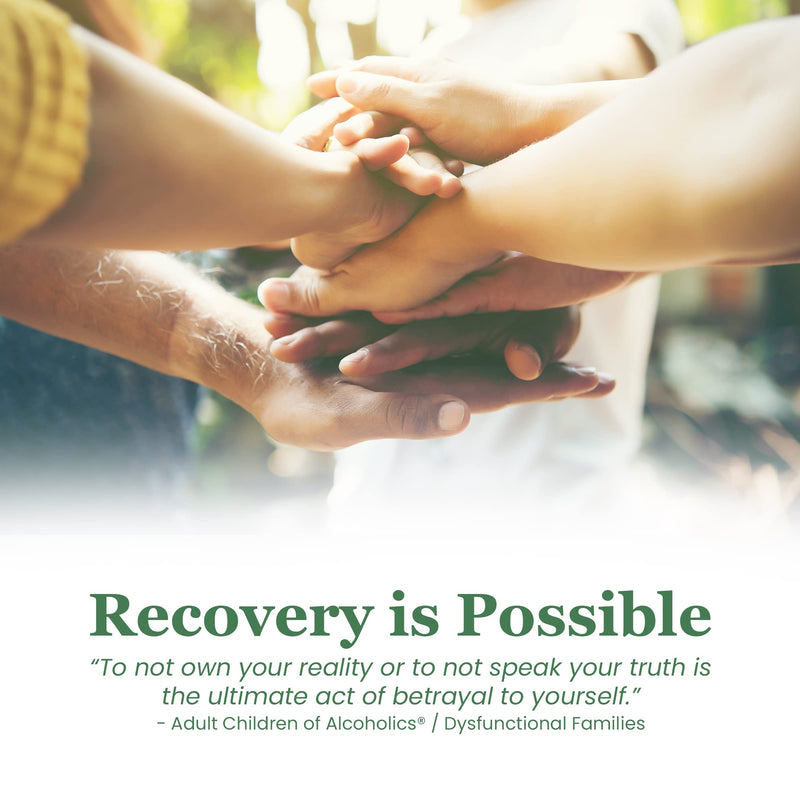 Strengthening My Recovery,Used