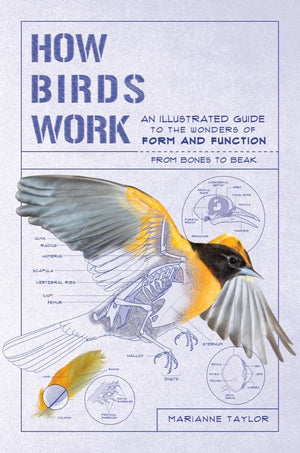 How Birds Work: An Illustrated Guide to the Wonders of Form and Functionfrom Bones to Beak (How Nature Works),New