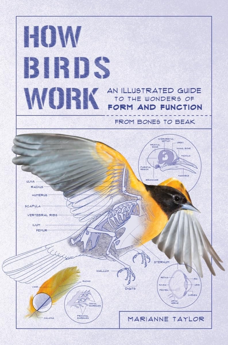 How Birds Work: An Illustrated Guide to the Wonders of Form and Functionfrom Bones to Beak (How Nature Works),New