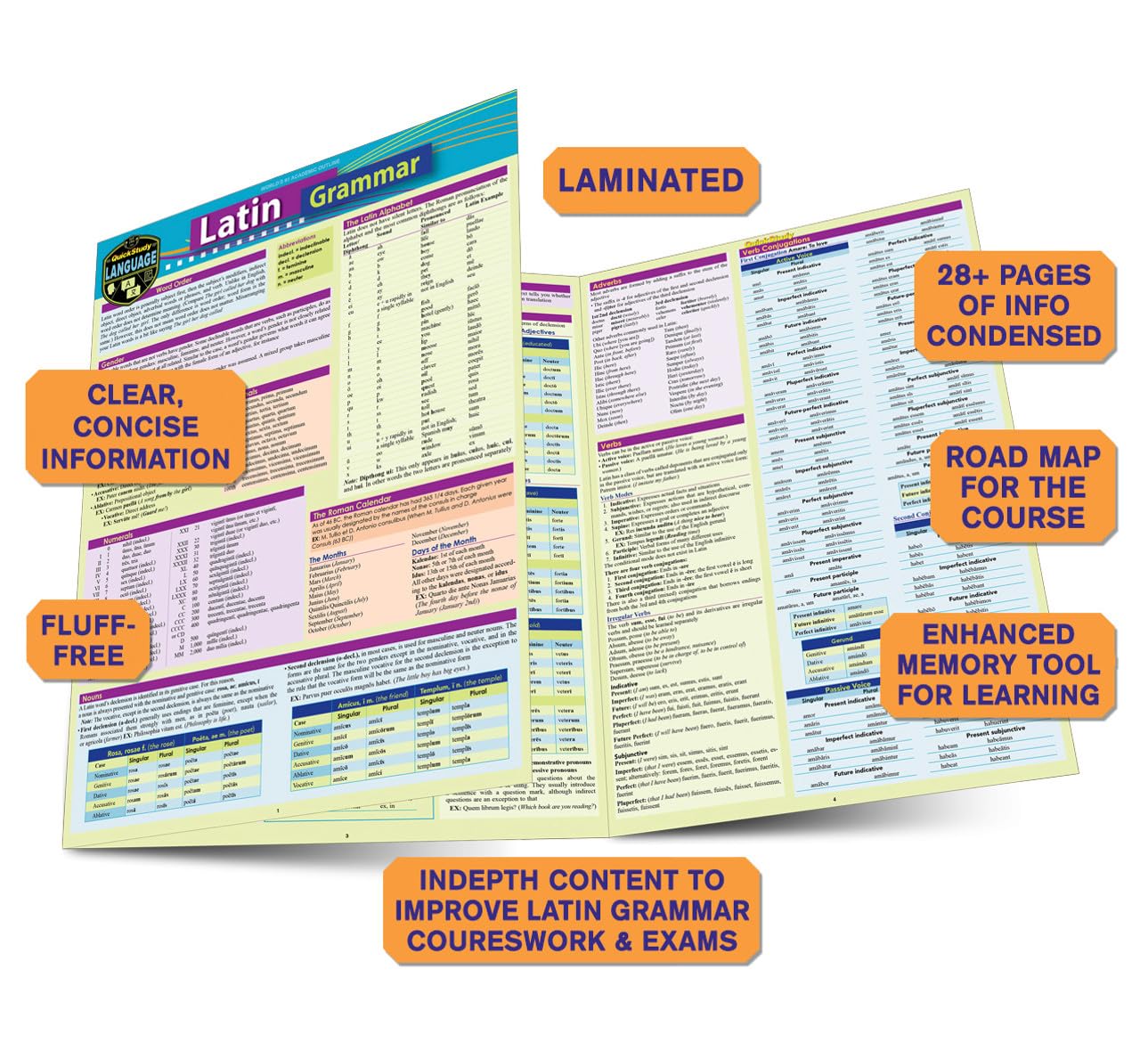 Latin Grammar (English and Latin Edition) QuickStudy Laminated Reference Guide (Quickstudy Language),New
