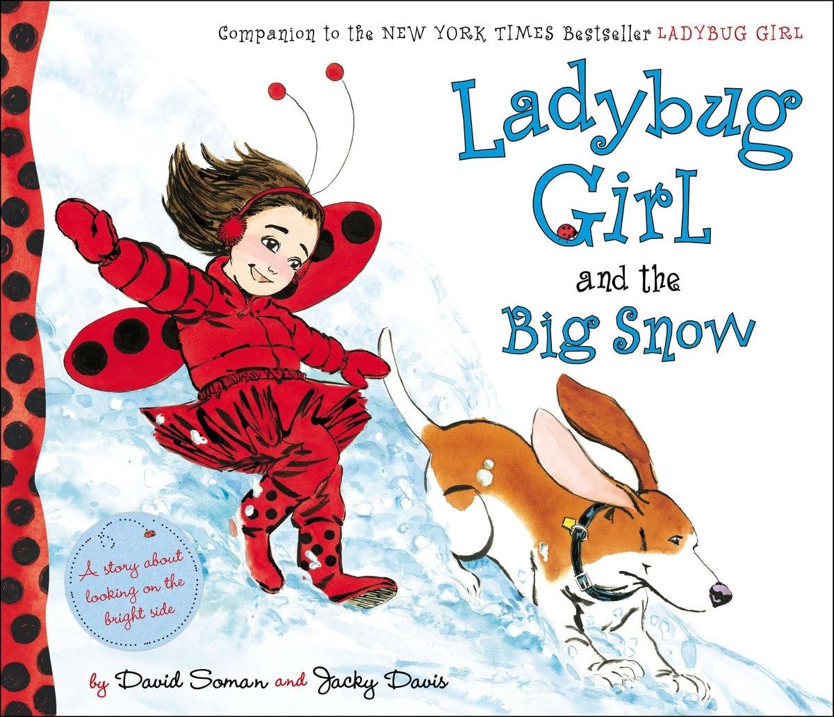Ladybug Girl and the Big Snow,Used