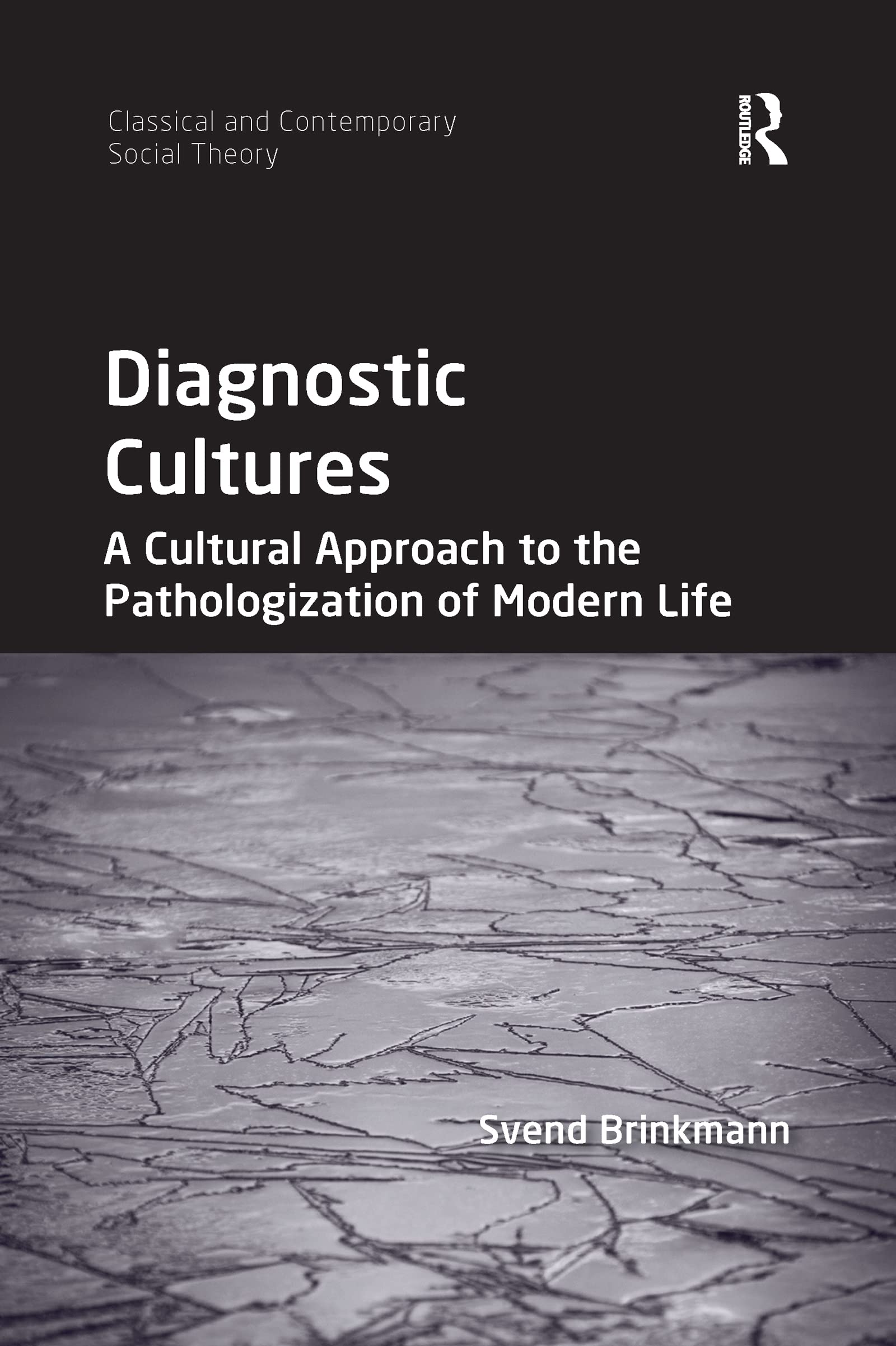 Diagnostic Cultures (Classical and Contemporary Social Theory),Used