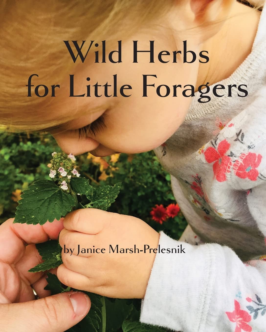Wild Herbs for Little Foragers,Used