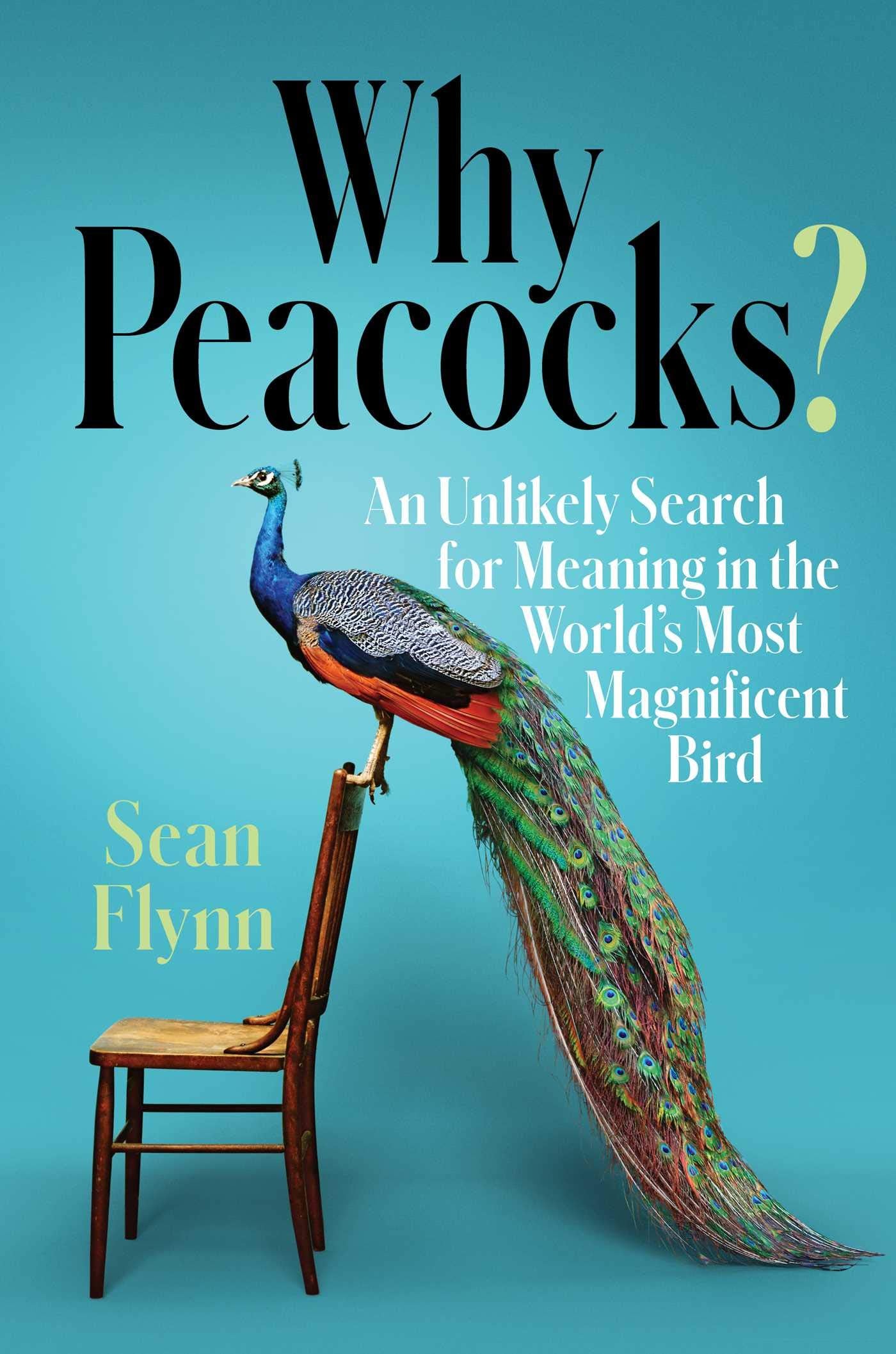 Why Peacocks?: An Unlikely Search for Meaning in the World's Most Magnificent Bird,Used