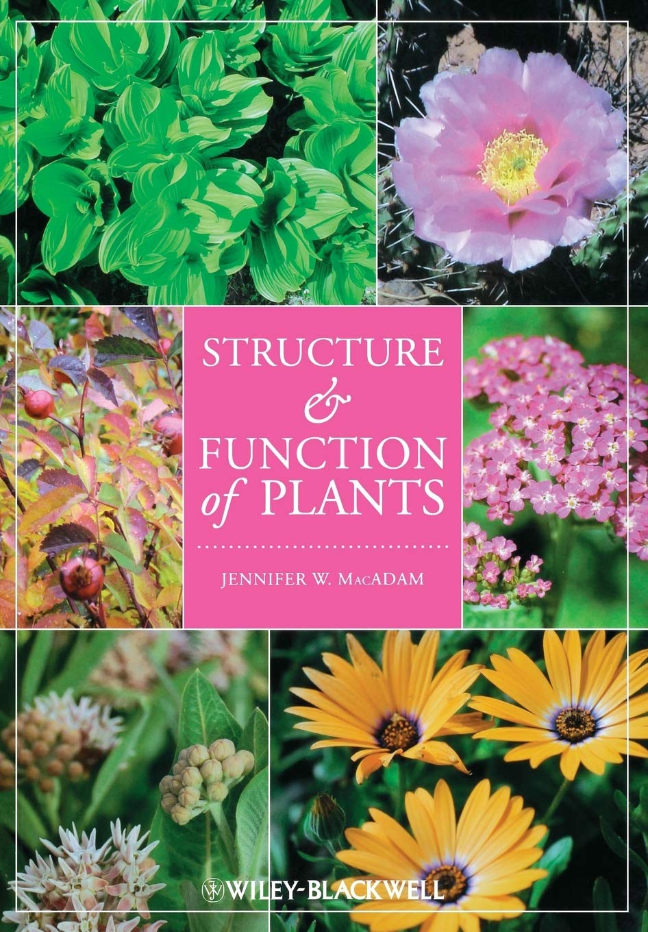Structure and Function of Plants,New