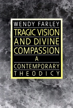 Westminster John Knox Press Tragic Vision and Divine Compassion Book – Contemporary Theodicy