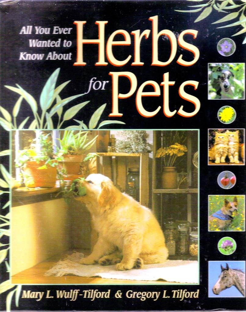 All You Ever Wanted to Know About Herbs for Pets,Used