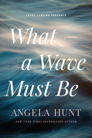 What a Wave Must Be,Used