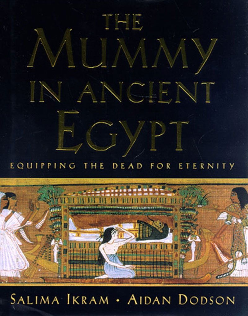 Mummy in Ancient Egypt: Equipping the Dead for Eternity,New