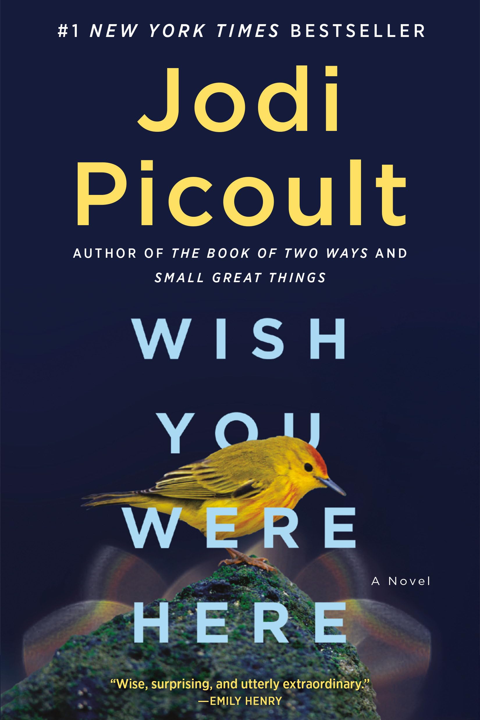 Wish You Were Here: A Novel,Used