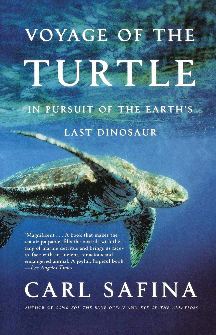 Voyage Of The Turtle: In Pursuit Of The Earth'S Last Dinosaur