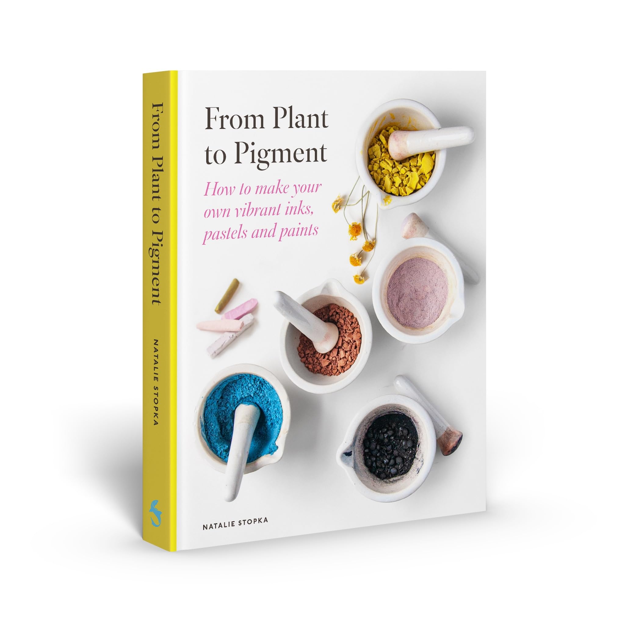 From Plant to Pigment: How to make paint, pastels and chalks from plants