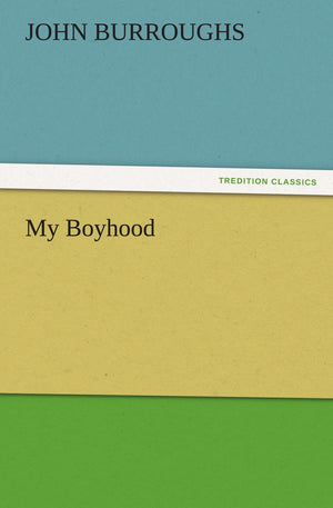My Boyhood,Used