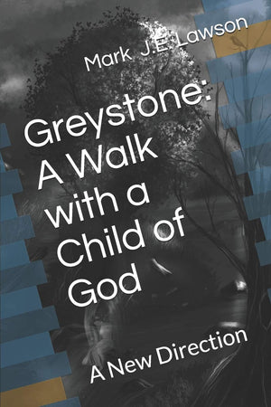 Greystone: A Walk with a Child of God: A New Direction,Used