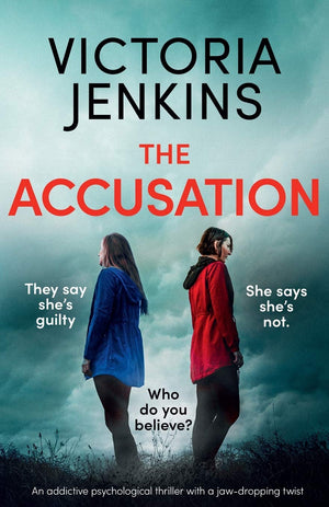 The Accusation: An addictive psychological thriller with a jawdropping twist,Used