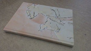 Animal Farm And Related Readings,New