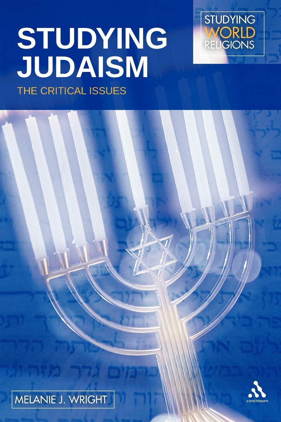Studying Judaism: The Critical Issues (Studying World Religions),Used