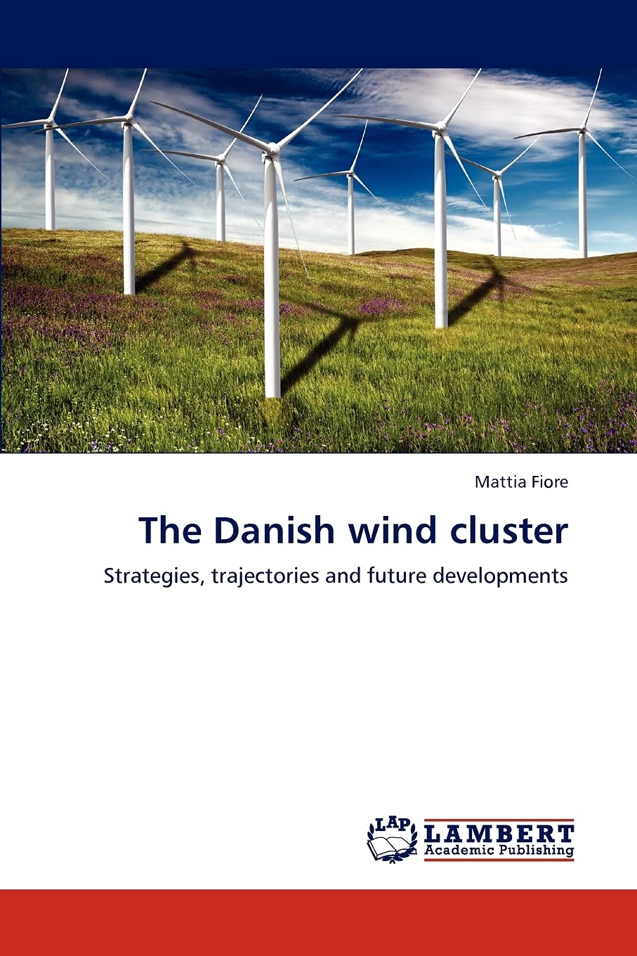 The Danish wind cluster: Strategies, trajectories and future developments,Used