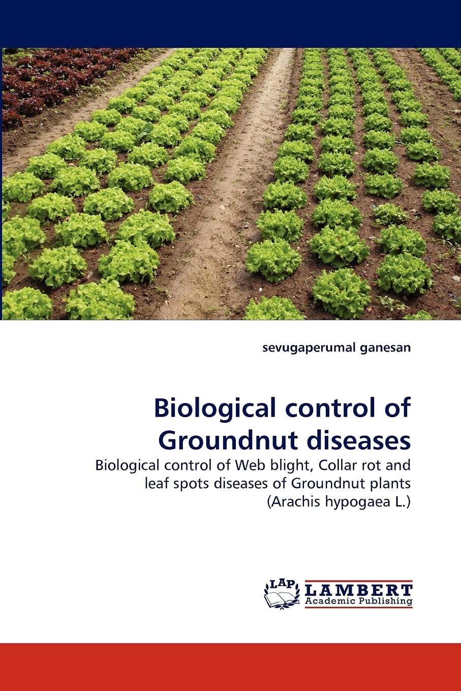 Biological control of Groundnut diseases: Biological control of Web blight, Collar rot and leaf spots diseases of Groundnut plan,Used