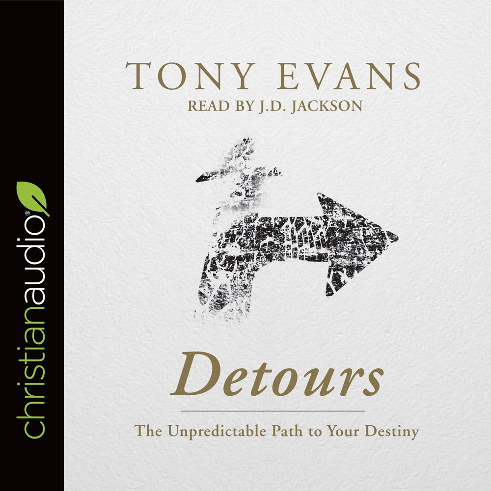 Detours: The Unpredictable Path to Your Destiny,Used
