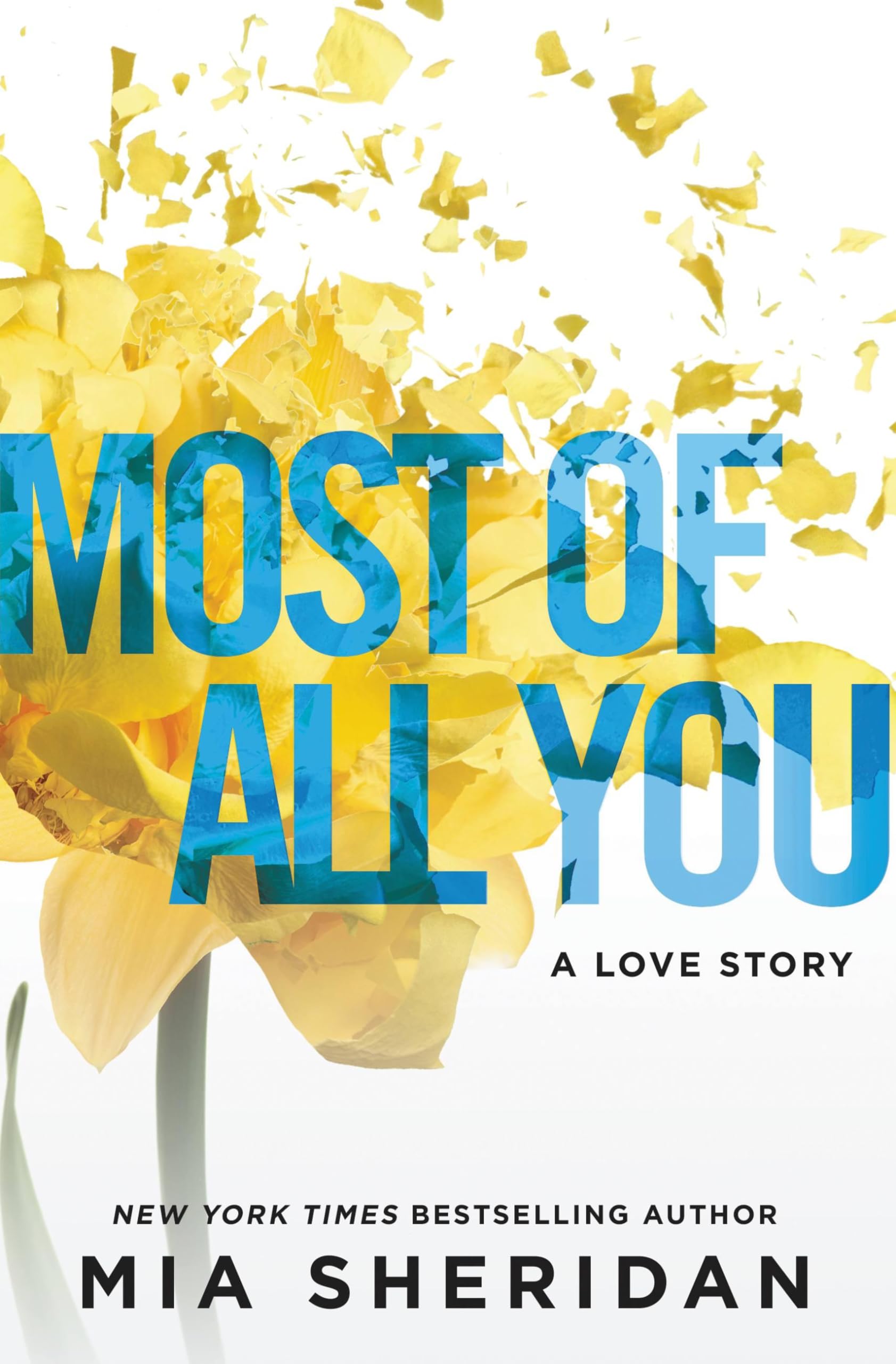 Most of All You: A Love Story,Used