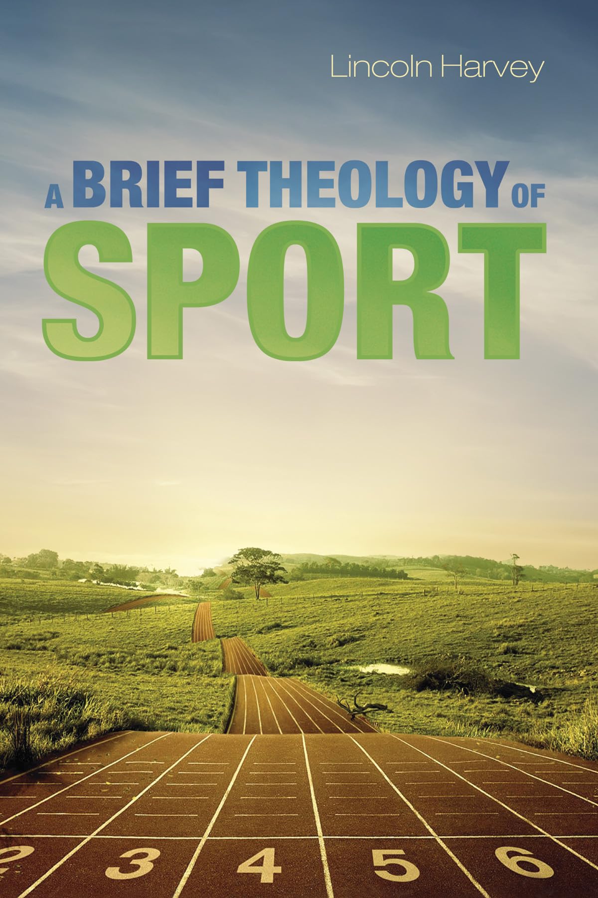 A Brief Theology of Sport,Used