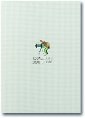 Kodachrome,Used