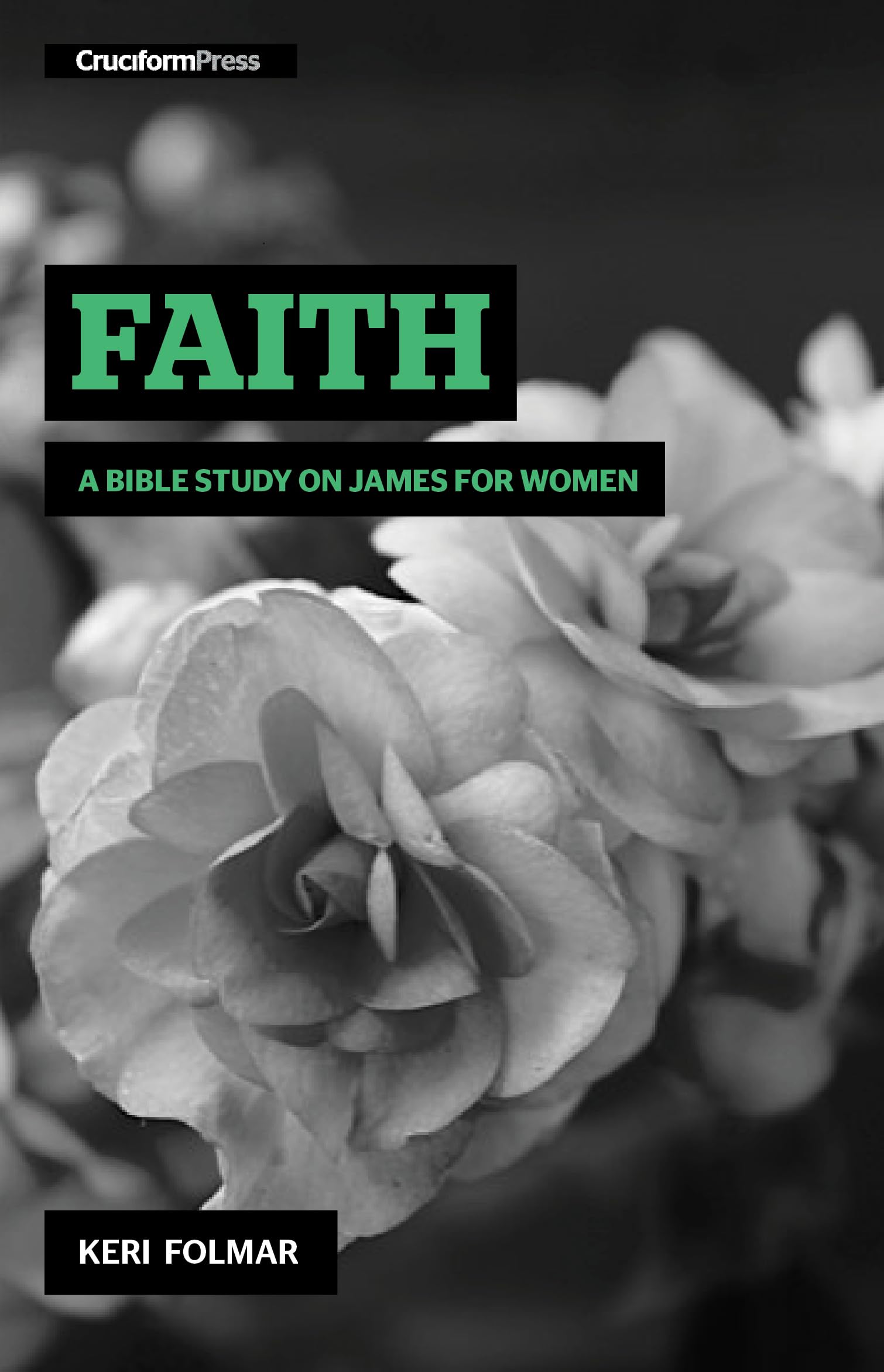 Faith: A Bible Study on James for Women (Delighting in the Word),Used