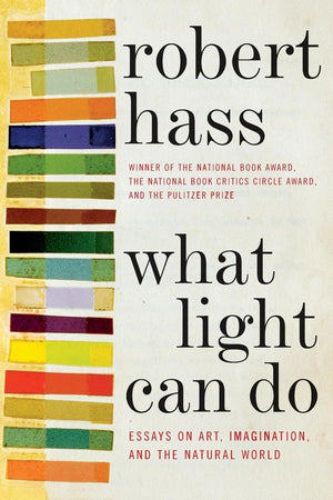 What Light Can Do: Essays on Art, Imagination, and the Natural World,New