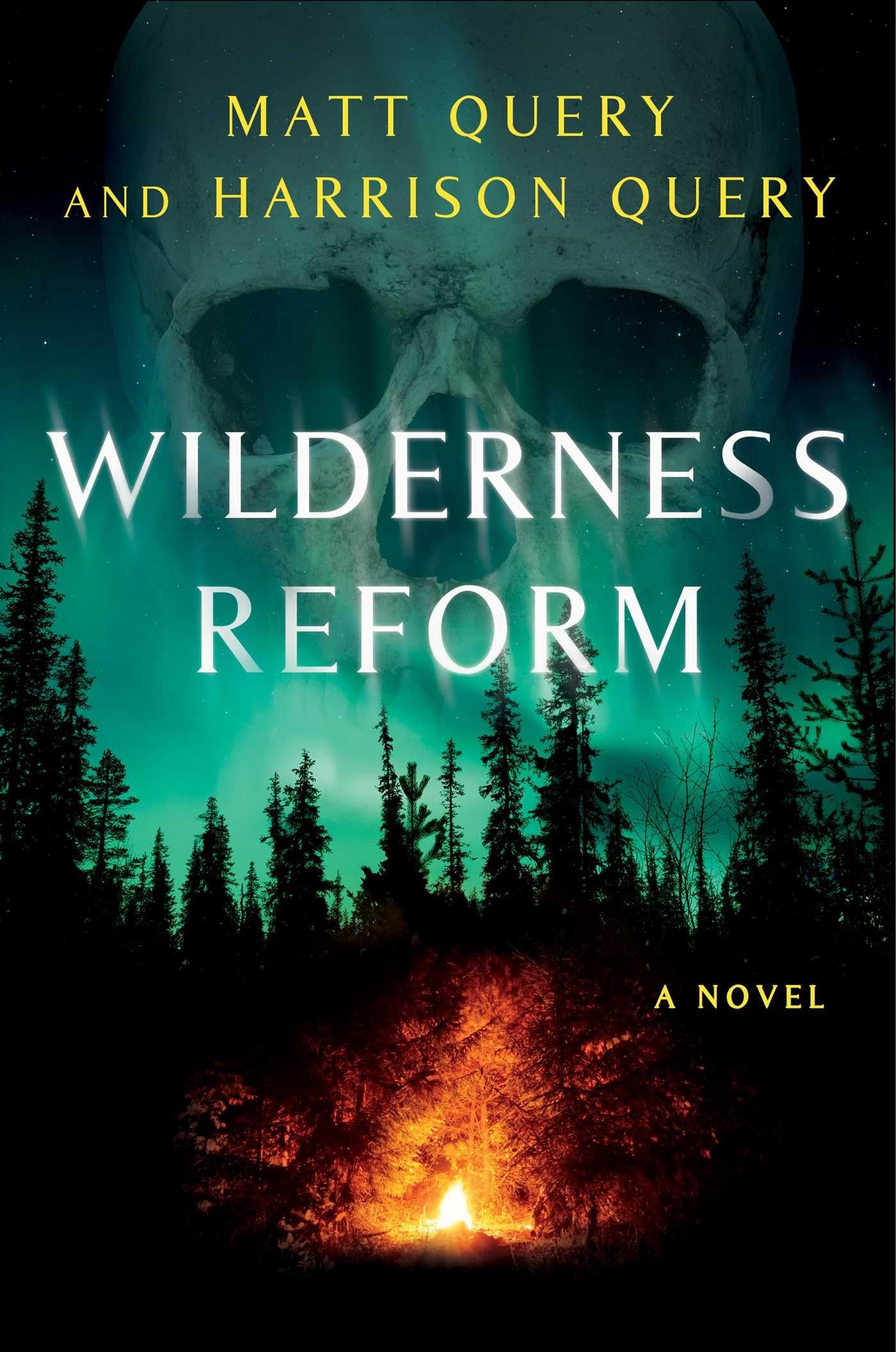 Wilderness Reform: A Novel,Used