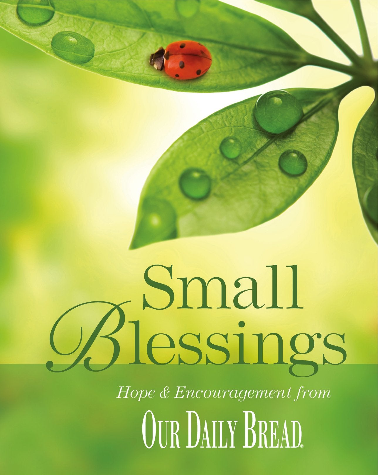 Small Blessings: Hope and Encouragement from Our Daily Bread,Used