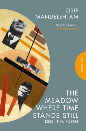 The Meadow Where Time Stands Still: Selected Poems (Pushkin Press Classics)