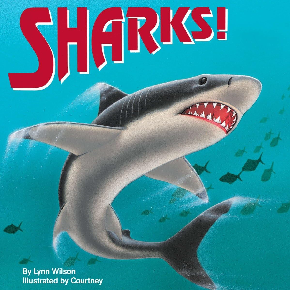 Sharks! (All Aboard Books),Used