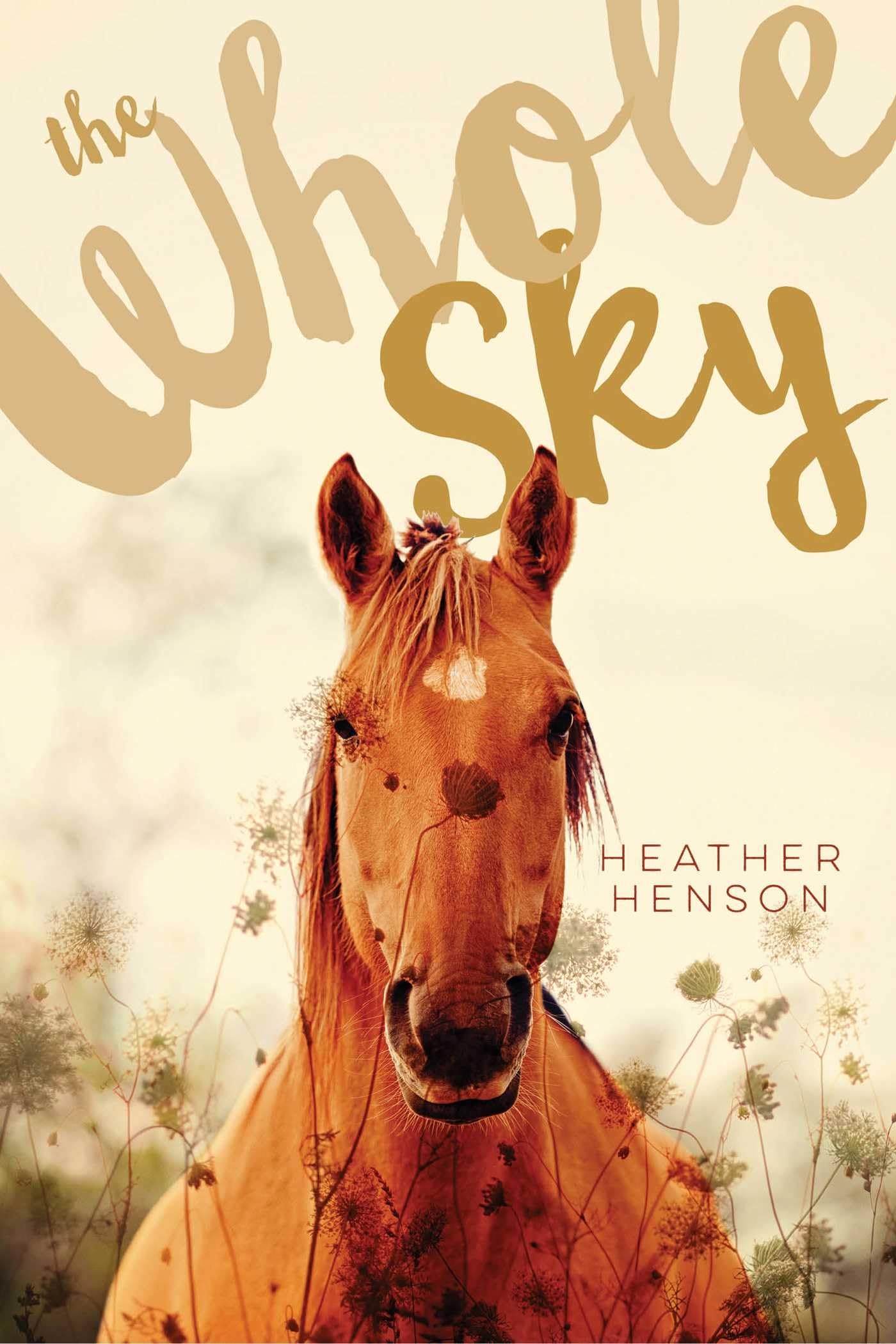 The Whole Sky,Used