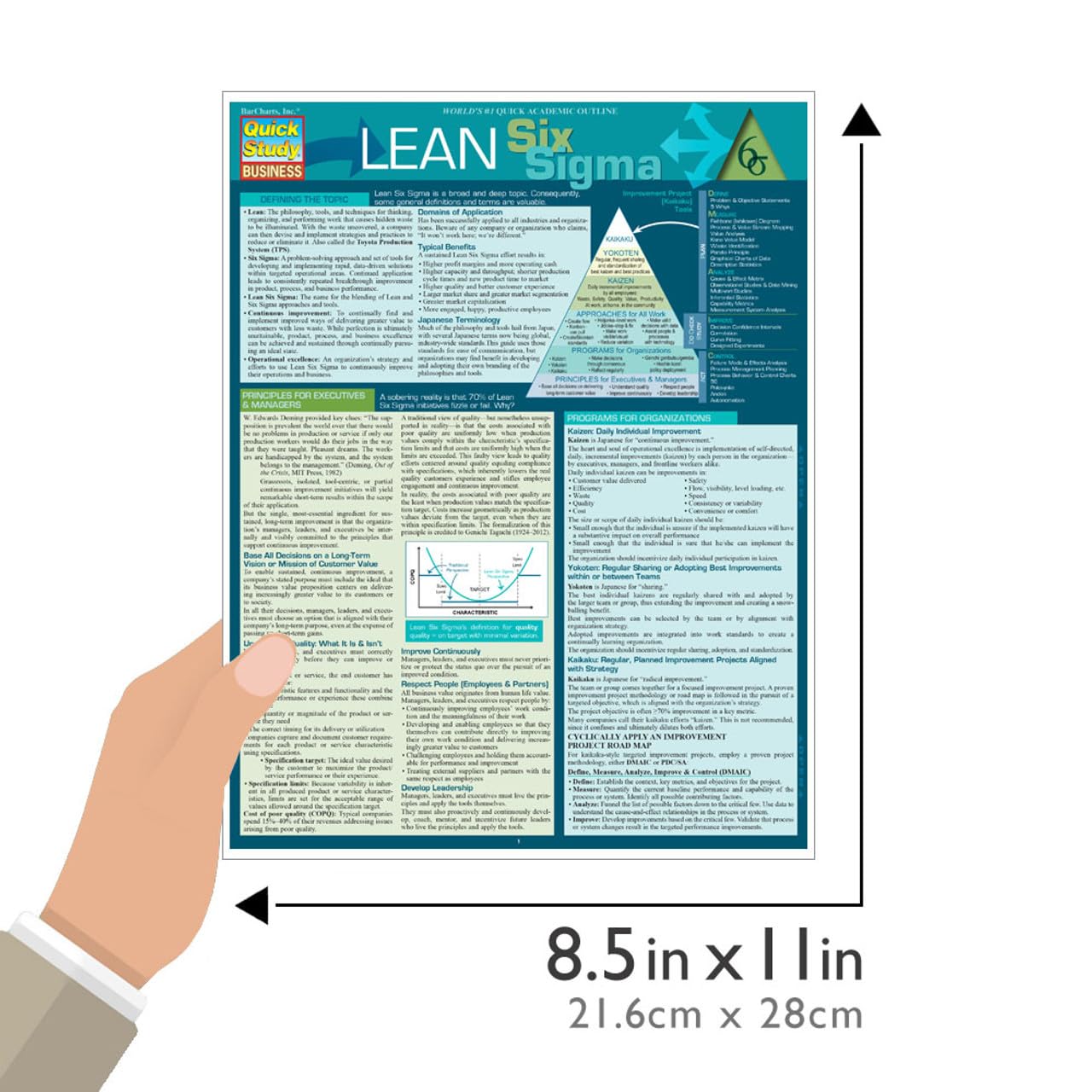 Lean Six Sigma QuickStudy Laminated Reference Guide (QuickStudy Business),Used