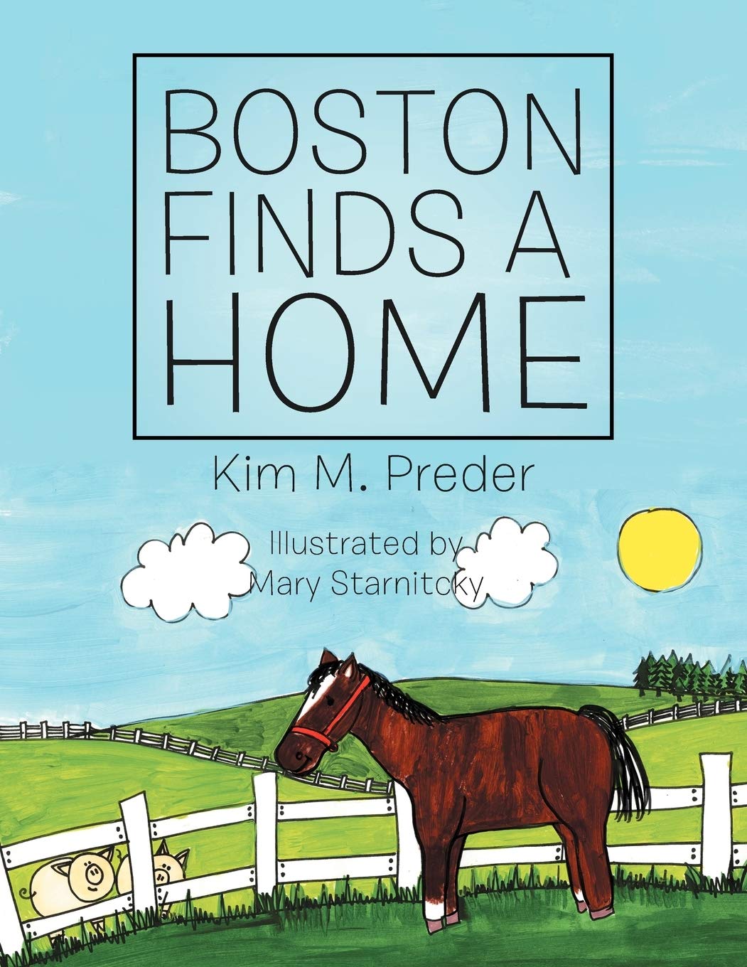 Boston Finds A Home,Used