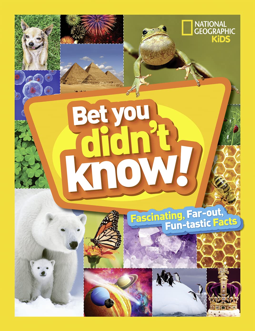 Bet You Didn't Know: Fascinating, Farout, Funtastic Facts!,Used