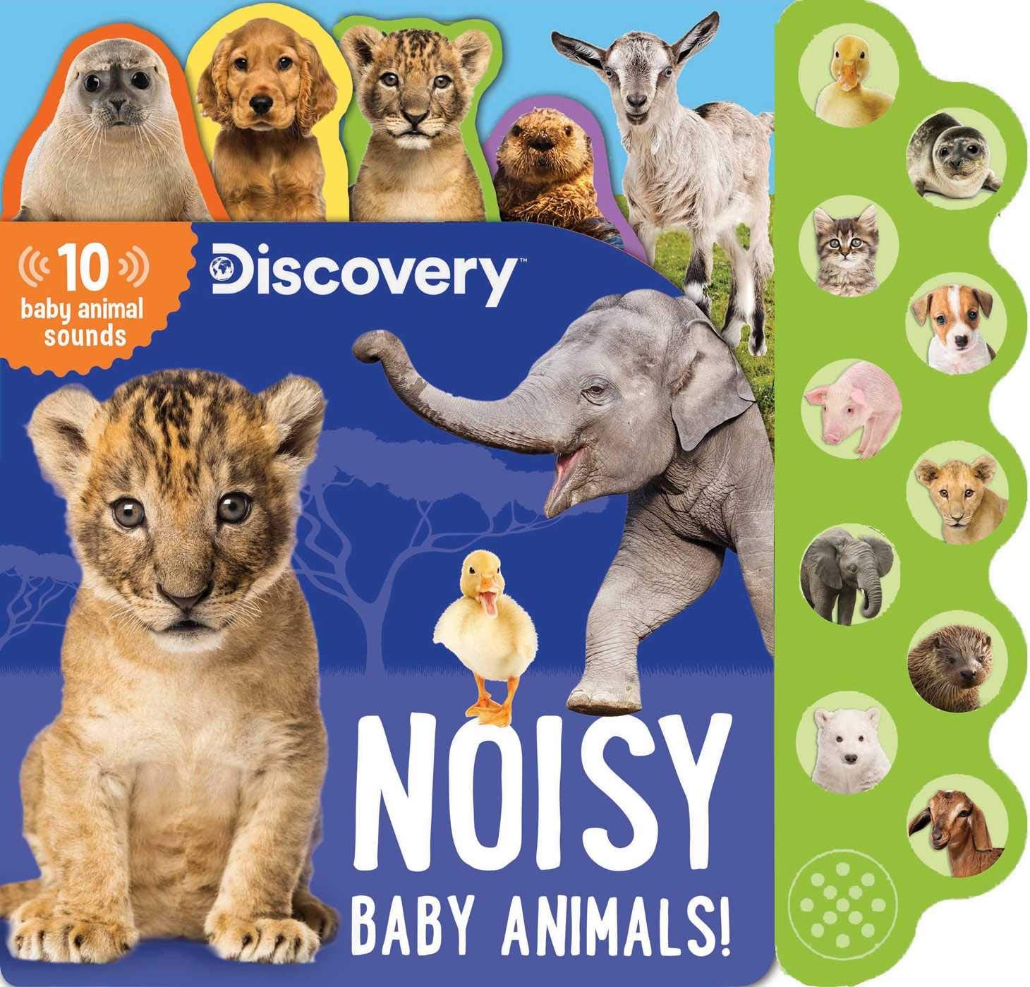 Discovery: Noisy Baby Animals! (10Button Sound Books),New