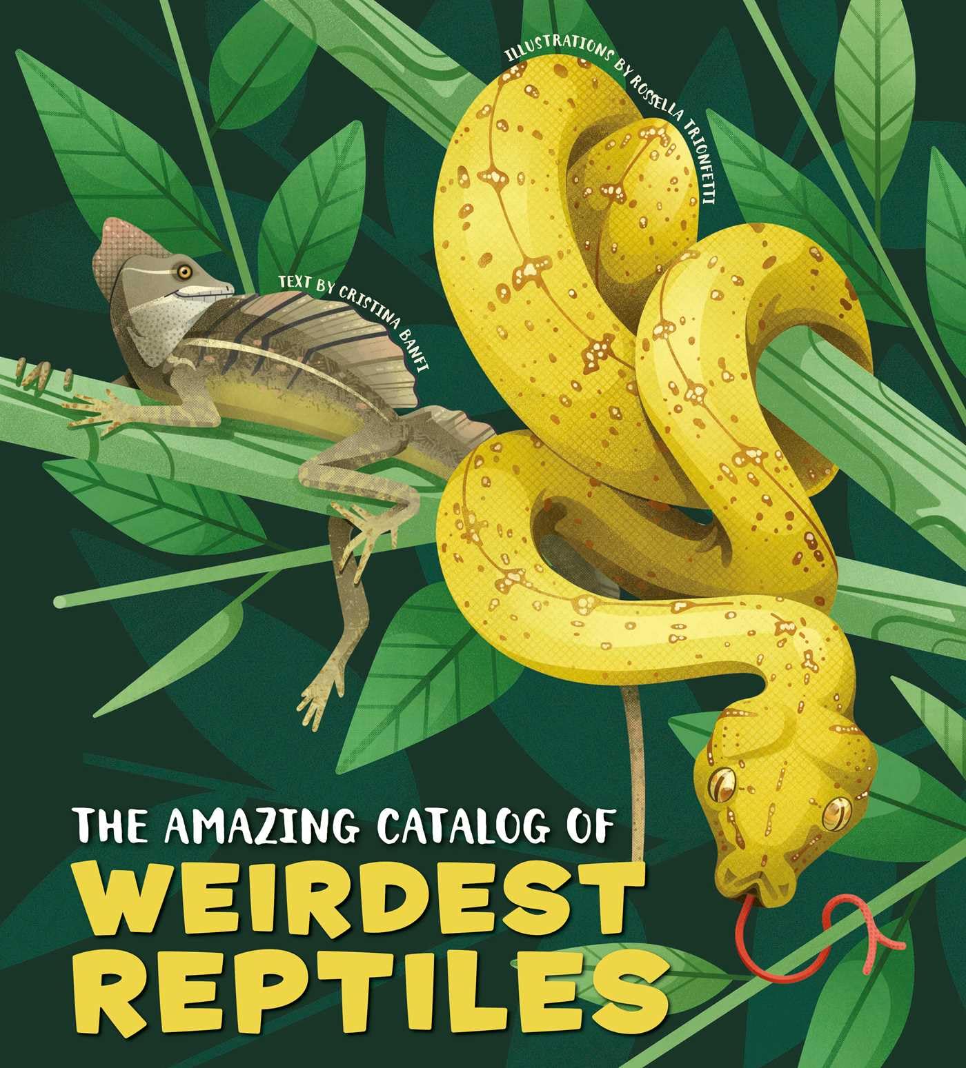 The Amazing Catalog Of Weirdest Reptiles