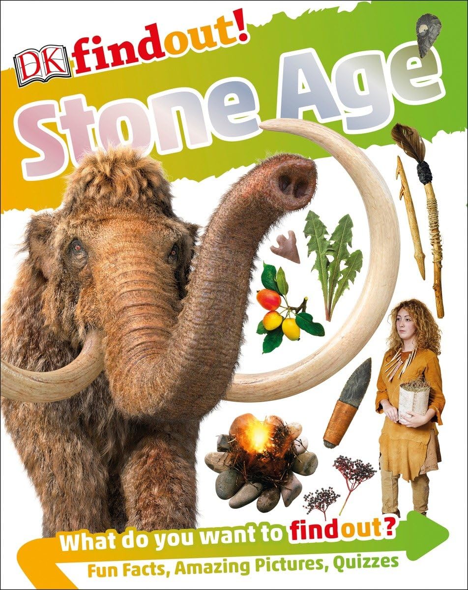 Dkfindout! Stone Age,Used