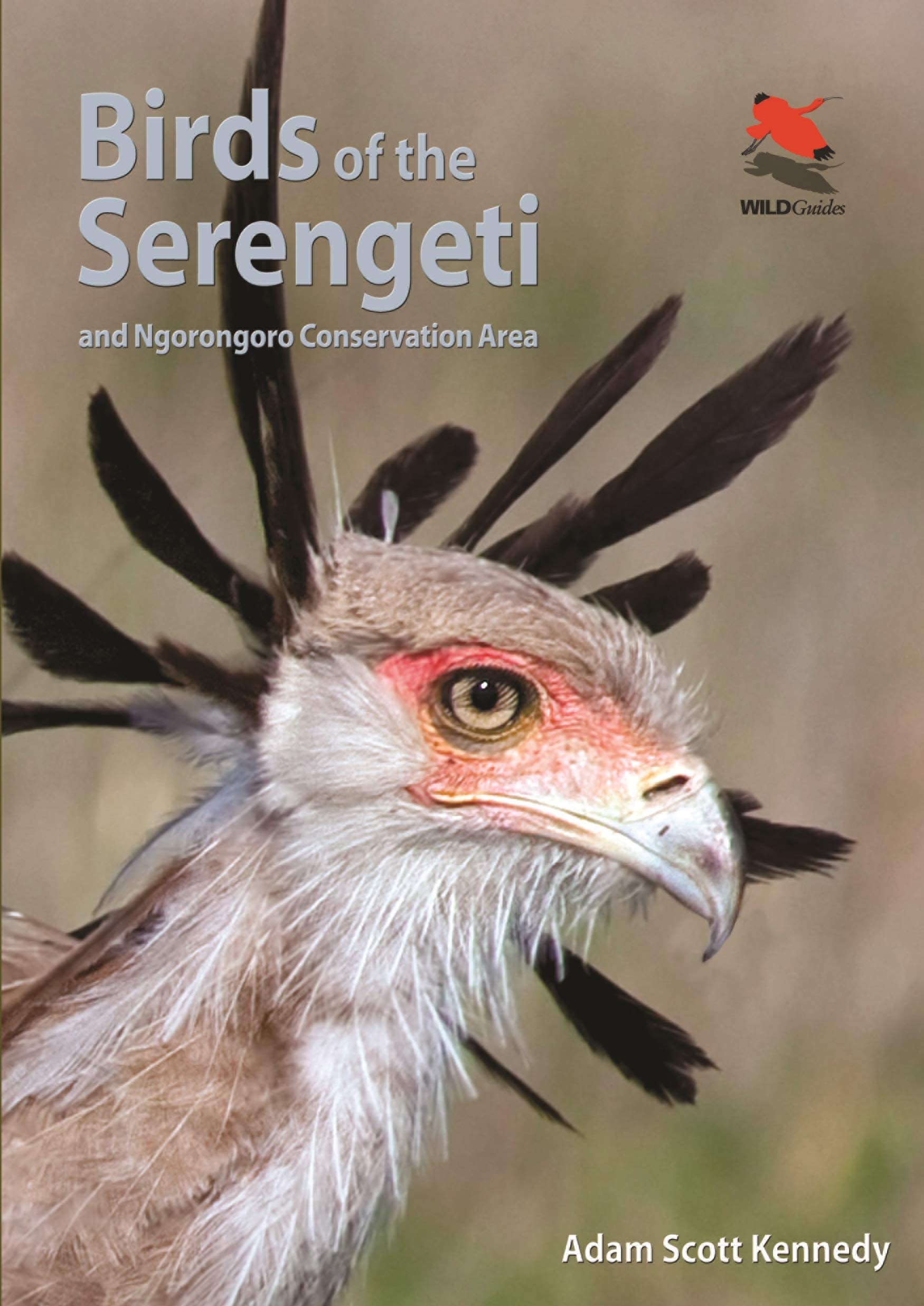 Birds of the Serengeti: And Ngorongoro Conservation Area (Wildlife Explorer Guides),Used