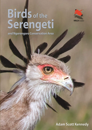 Birds of the Serengeti: And Ngorongoro Conservation Area (Wildlife Explorer Guides),Used